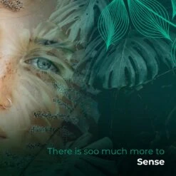 Soolong Sense Oost Timor Nr1000 Koffiebonen Smooth Lacau - Speciality Koffie Arabica Medium Roast Met Rijke Kruidige Smaak Met Heerlijke Ondertonen Van Karamel - Zak 250gram -Koffieserie Winkel 1200x1200 143