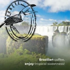 Soolong Enjoy Brazilie Nr4000 Koffiebonen Topacio Lungo - Speciality Koffie Arabica Medium Roast, Light Body Met Een Verfijnde Zacht Zoete Smaak. - Zak 250gram -Koffieserie Winkel 1200x1200 192
