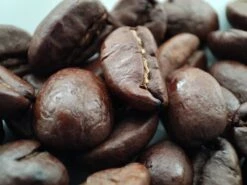 Voordeelpakket: Den Leeuw Lungo (80 Koffiecups) - Roast Koffiecups - Echte Hollandsche Koffie Van Den Leeuw In Nespresso Cups - Nespresso Compatibele Koffie Cups -Koffieserie Winkel 1200x900